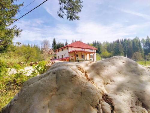 uma grande rocha em frente a uma casa em Poiana Sașilor - Valea Doftanei em Trăisteni
