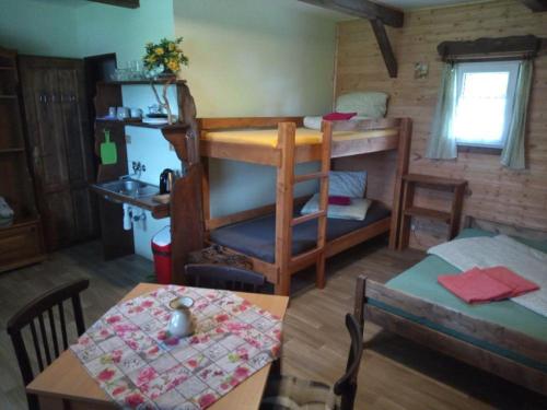 Zimmer mit einem Tisch, einem Bett und einem Etagenbett in der Unterkunft Chatky u Hromádky in Karlovice