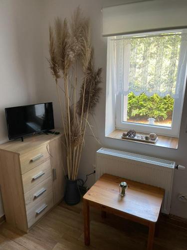 a living room with a table and a window at Apartmány na Vršku in Plzeň