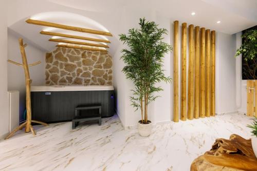 a living room with a fireplace and a plant at Venus Suite with Hot Tub in Agios Prokopios