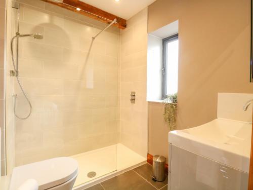 a bathroom with a shower and a toilet and a sink at Barn Conversion in Norwich