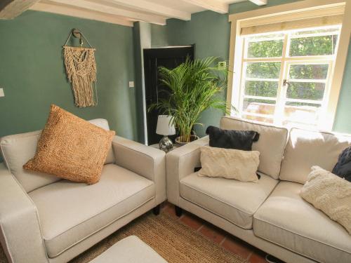 two couches in a living room with green walls at Number 4 in Telford