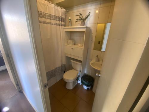 La petite salle de bains est pourvue de toilettes et d'un lavabo. dans l'établissement Alojamiento en Claros de Rauquén, à Curicó