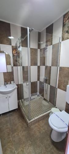 Un baño con ducha, inodoro y lavabo. en Casa Gogu, en Mamaia Nord – Năvodari