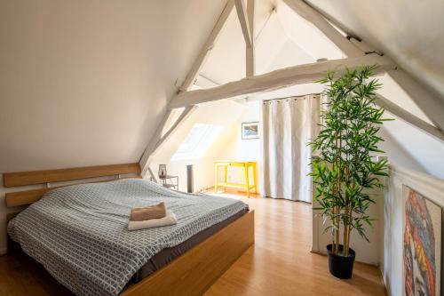 een slaapkamer met een bed en een potplant bij SOUVENIRS VIEUX LILLE Apartment 2 Chambres 24H24H Access in Lille
