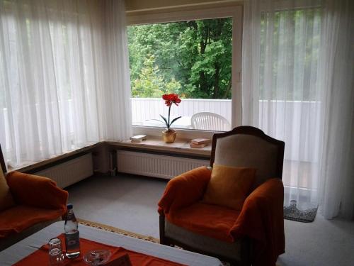 VielbrunnにあるFerienwohnung Talblickのリビングルーム(椅子2脚付)、花の窓