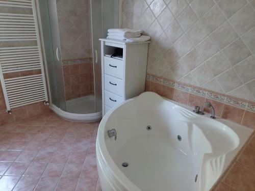 a bathroom with a white tub and a shower at Agriturismo Ca' Isotta in Castello di Serravalle