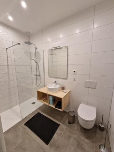 ein Bad mit einem WC, einem Waschbecken und einer Dusche in der Unterkunft LE 1 " GÎTES TOUT CONFORT à COLMAR CENTRE" in Colmar