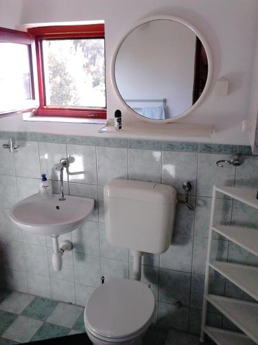 a bathroom with a toilet and a sink and a mirror at Apartment Vesna in Vela Luka