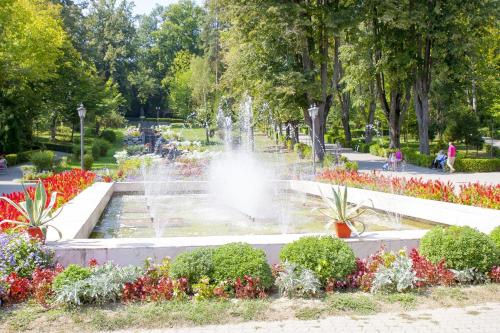 a fountain in the middle of a park at Pensiunea Magic in Băile Govora