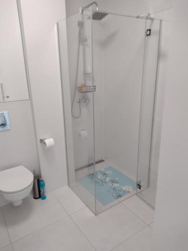 a bathroom with a glass shower with a toilet at 4 Sosny Porta Mare in Dziwnówek