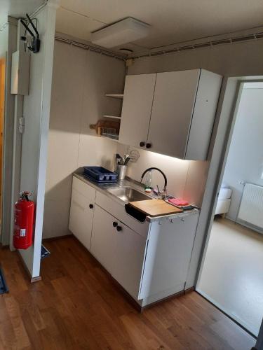 een kleine keuken met een wastafel en een fornuis bij Vinland Apartment 1 in Egilsstadir