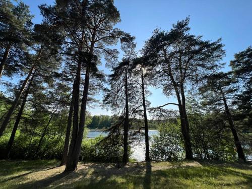 Gallery image of Lake&Forest&City in Rīga