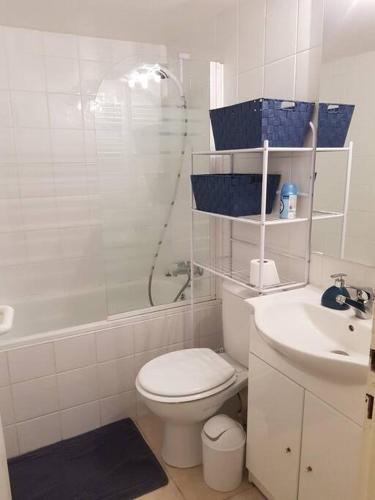 une salle de bain avec une douche, des toilettes et un lavabo dans l'établissement Jolie studio en RDC, à Cauterets