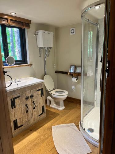 a bathroom with a toilet and a sink and a shower at Keepers Cabin - Hot tub in Kings Lynn