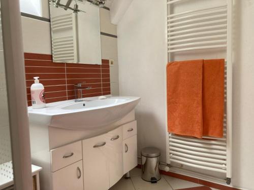 ein Badezimmer mit einem weißen Waschbecken und orangefarbenen Handtüchern in der Unterkunft Le Bois des Sources in Saint-Marcel