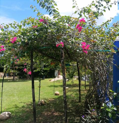 a tree with pink flowers on it in a yard at Hotel campestre la Maria in Villavicencio