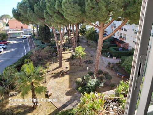 Coquet Studio Centre Port Cap D'Agde