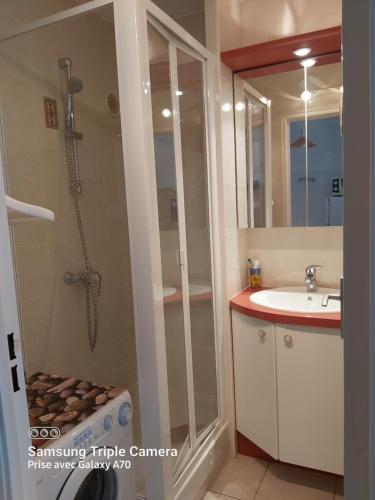 une salle de bain avec douche et lavabo dans l'établissement Coquet Studio Centre Port Cap D'Agde, au Cap d'Agde