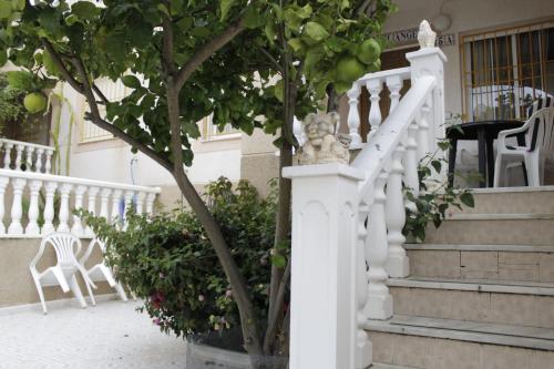 Jardin y terraza Los Balcones 2, Alicante – Bijgewerkte ...