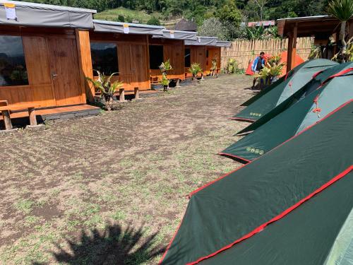 a row of green tents in front of a building at Buahan Sweet Glamping ( BSG) in Kubupenlokan