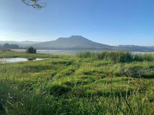 a field of grass with a body of water at Buahan Sweet Glamping ( BSG) in Kubupenlokan