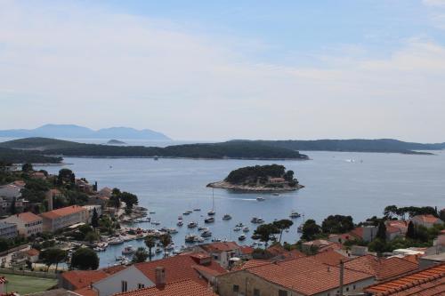 Nikola Leko Guest House