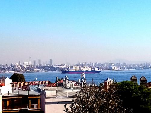 a view of a city and the water with a boat at Roomsin Sultanahmet in Istanbul