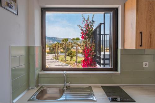 a kitchen sink with a window with a view of a street at Anthia Apartments in Marmari