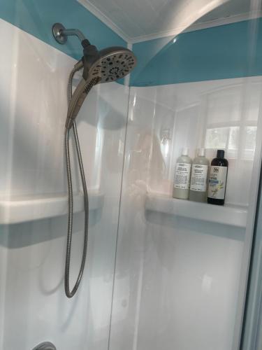 a shower with a shower head in a bathroom at Mid-Century DJs Dream near Rhinebeck 