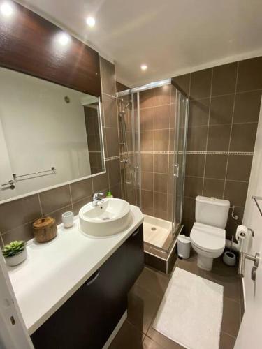 une salle de bain avec un lavabo, des toilettes et une douche dans l'établissement Joli studio calme et central, à Cannes