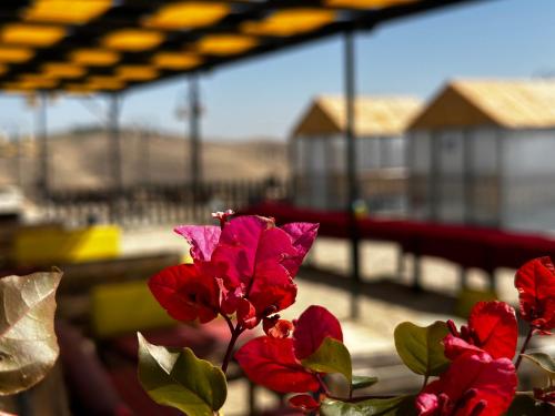 Gallery image of Wadi Al-Wala View Camp in Madaba