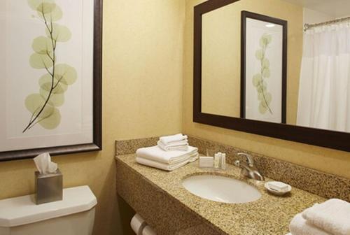 a bathroom with a sink and a toilet and a mirror at Courtyard by Marriott Buffalo Amherst/University in Amherst