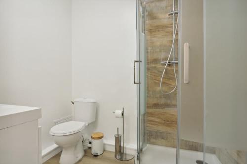 a bathroom with a toilet and a glass shower at Cosy renovated studio in heart of Paris XVieme in Paris