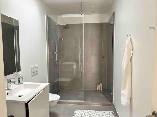 y baño con ducha, aseo y lavamanos. en Penthouse-Nordic-Citycenter-Balcony en Copenhague