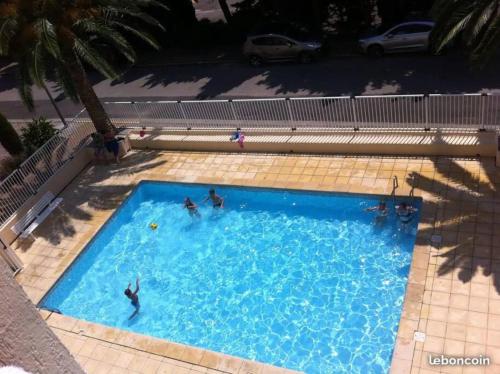 un groupe de personnes dans une grande piscine dans l'établissement Appt bord de mer deux chambres et piscine, à Argelès-sur-Mer
