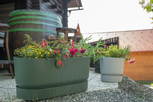 two potted plants are sitting on a patio at Apartma med vinogradi in Ljutomer