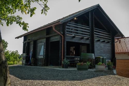 a log cabin with potted plants in front of it at Apartma med vinogradi in Ljutomer