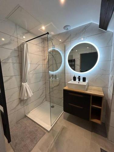 une salle de bain avec une douche, un lavabo et un miroir dans l'établissement Le Darcy, grand appartement centre ville Dijon, proche gare, à Dijon