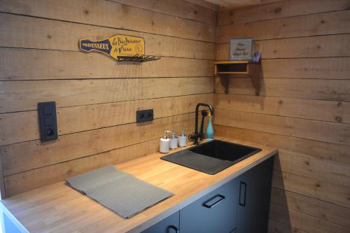 a kitchen with a sink and a wooden wall at La Jo Welcome Home in Theux