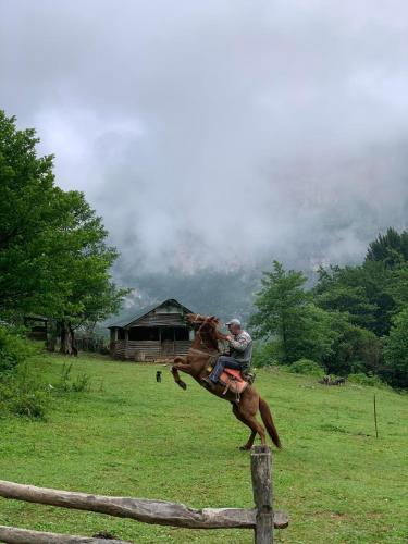 a man on a horse jumping over a fence at Guest House Balda in Martvili