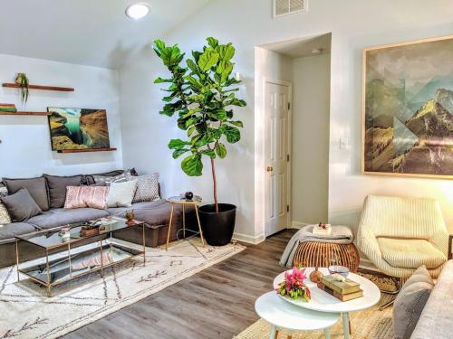 a living room with a couch and a potted plant at RARE Downtown Matthews walk 2 shops restauraunts hike CLT 2 Bedroom not 3br in Charlotte