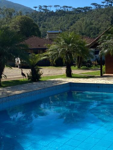 a blue swimming pool with palm trees and a house at Pousada do Mirante in Visconde De Maua