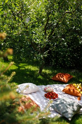 a picnic table in the grass with food on it at Hotel & Spa DENINNA in Vinnytsya