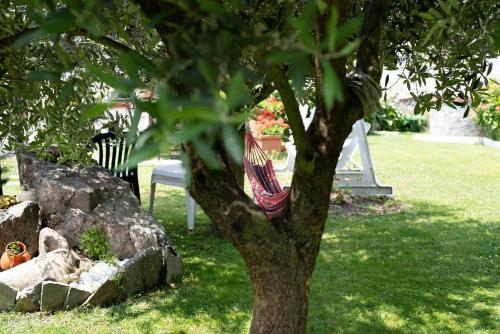 a dog sitting on a bench under a tree with an american flag at Barcollo House - Piscina nel verde in Stella