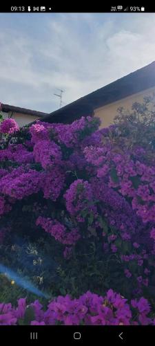 Casa Fiorita – Photos 2