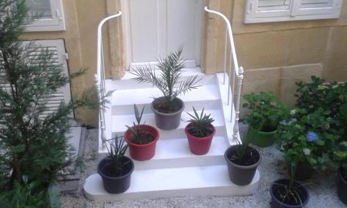 a group of potted plants sitting on a doorstep at Chambre d'hôte au 3ème étage d'une maison de chanoine in Autun