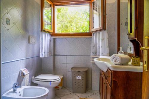 baño con lavabo y aseo y ventana en Agriturismo La Fragolaia, en Marina di Grosseto