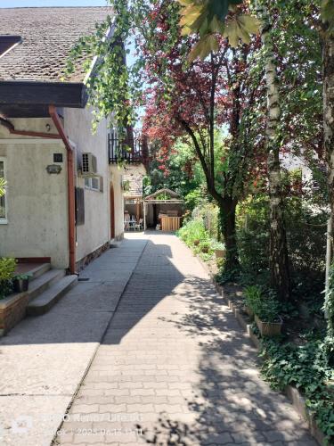 Okolí apartmánu
