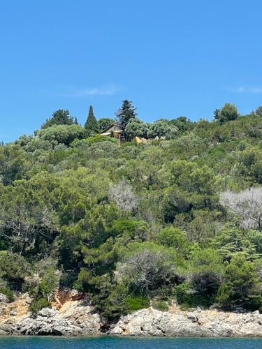 Apartment Monte Rosa